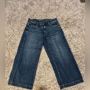 American Eagle Baggy Wide Leg Crop